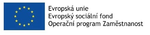 Evropský sociální fond